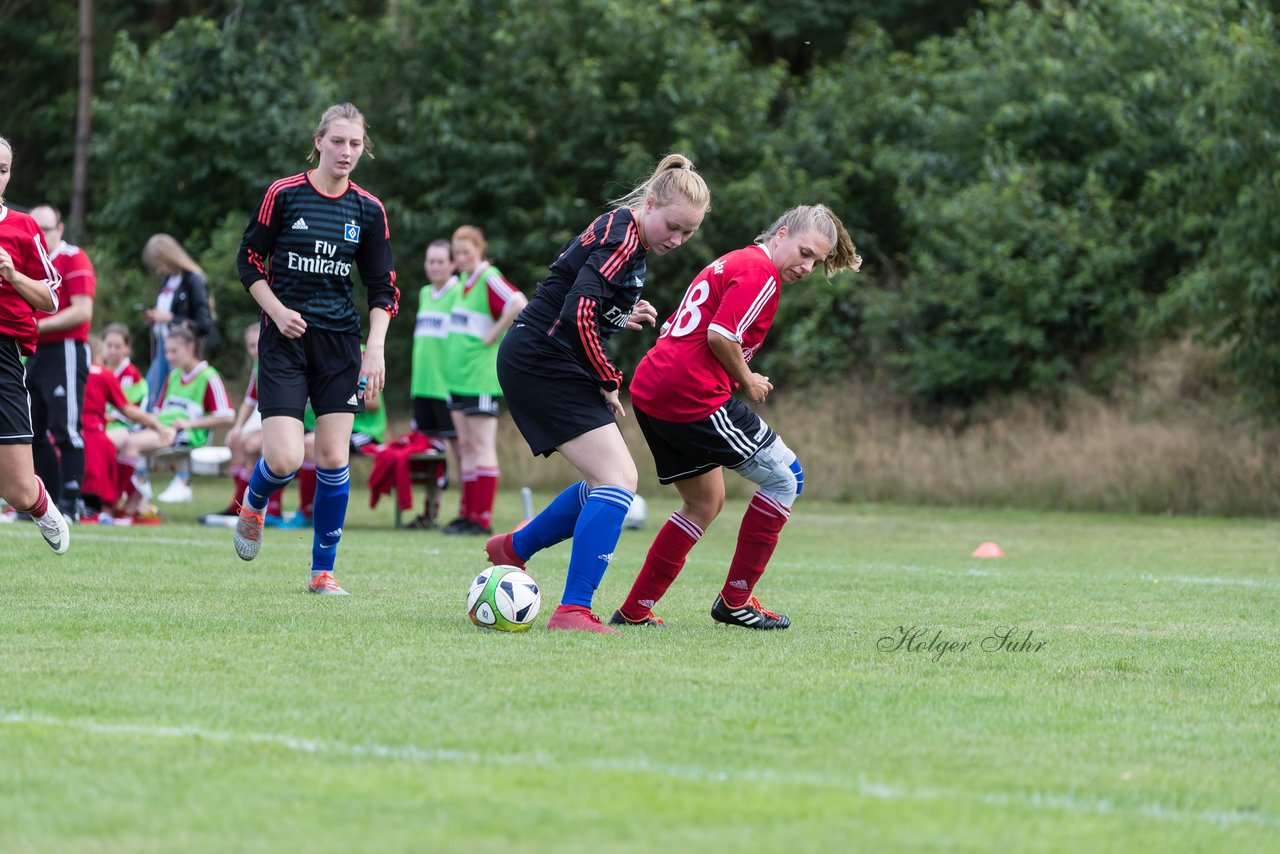 Bild 202 - Frauen SG NieBar - HSV 2 : Ergebnis: 4:3